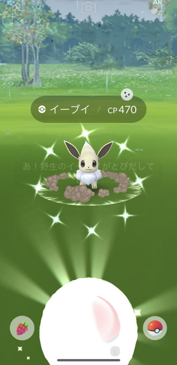 kifudapgo's tweet photo. 今日珍しく色違いが2匹✨ https://t.co/6LM8NPmKsX