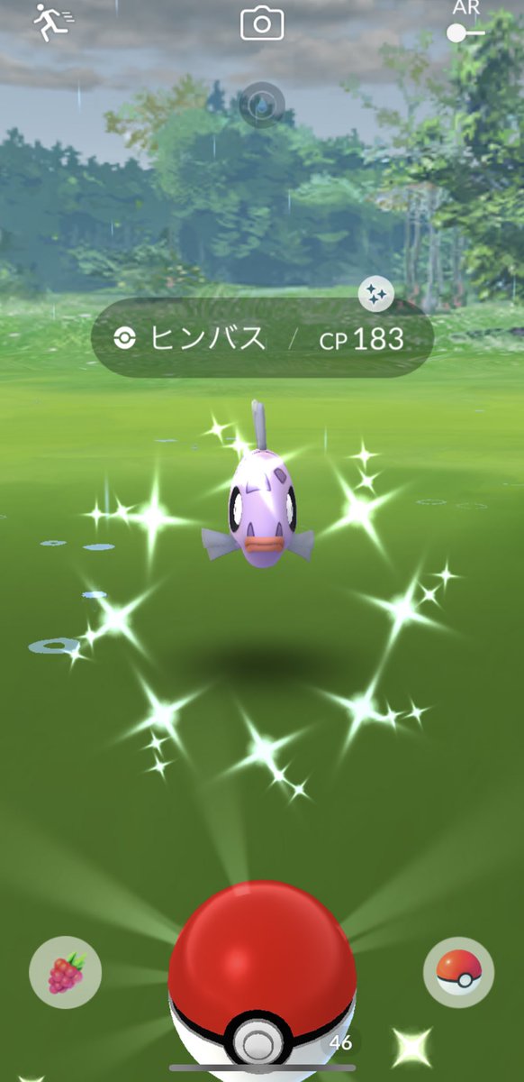 kifudapgo's tweet photo. 今日珍しく色違いが2匹✨ https://t.co/6LM8NPmKsX