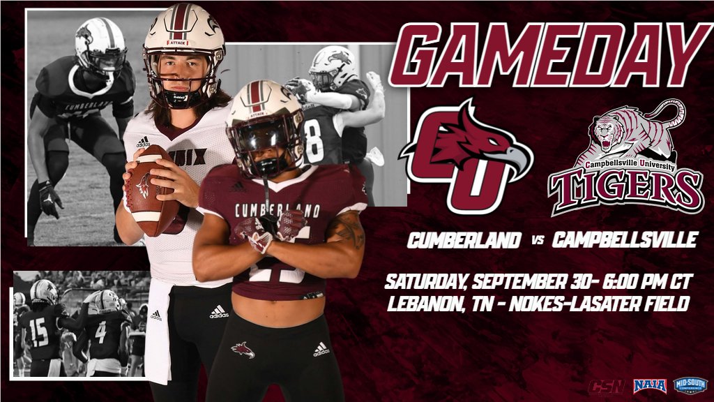 Cumberland Phoenix tweet media