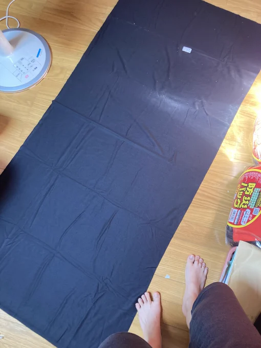 布を切ります。グッズプロさんで買った黒のソフトボアを使います。 これをほぼ全ての造形物に被せていきます。 型紙を写して切ります。先ずは一番パーツの多い脚から。 たちょちゃんが監督役をしてくれました。 左右あるので型紙を裏返して、混ざらないように分けておきます。 暑すぎて死にそうだった