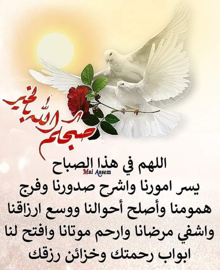 barraj_mona's tweet photo. @bukhariwaleeed يسعدصباحك سعادة السفير https://t.co/gnwZGreIK8