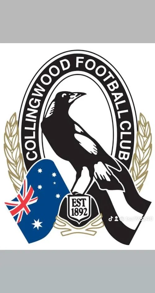 LETS GO THE MAGPIES!!!! #GoPies 
@CollingwoodFC #AFL #AFLPiesLions #AFLGrandFinal2023 #AFLFinals