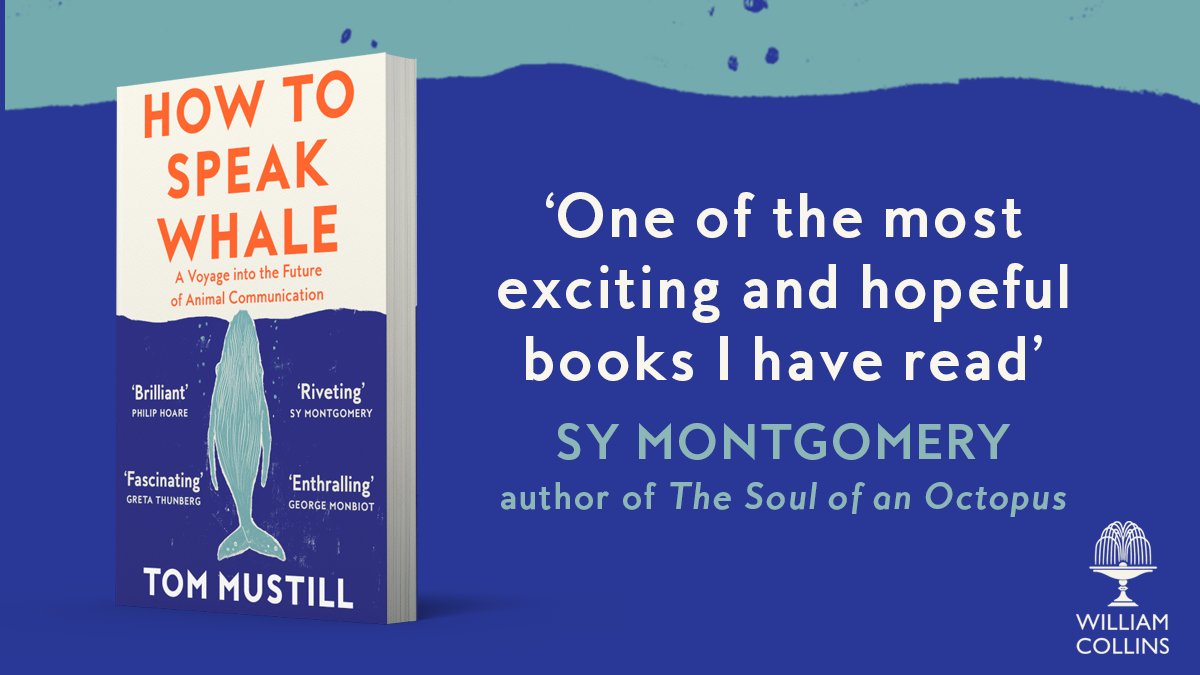 What would it take to speak with a whale? Are we ready for what they might say? In HOW TO SPEAK WHALE, @tommustill traces his extraordinary investigation into the deep ocean and the cutting-edge science of animal translation. Out NOW in paperback! 🐳