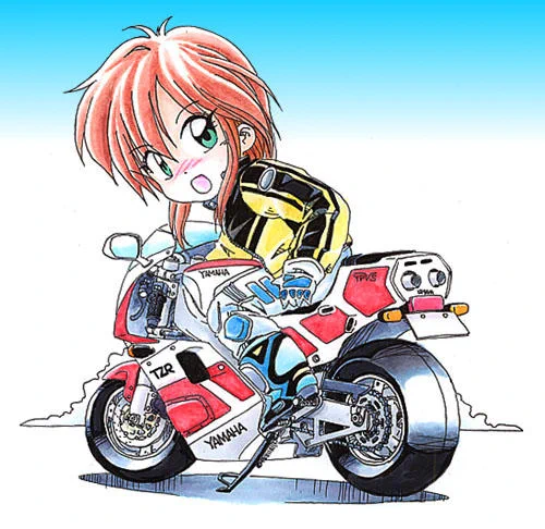 #秋刀魚の日昔乗ってたRZ250改(4L3)の足回りがコレでした。1KTのスイングアーム流用とかより加工が楽との事ですが、ホイールベースがかなり長くなって好みの乗り味じゃなくなったのでセッティングで四苦八苦… 