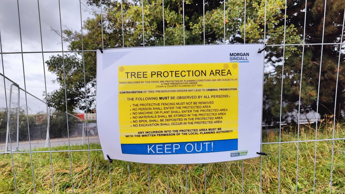 GCChemist's tweet photo. What's all this about then? Seen on Lewis Rd and freshmoor rd, #splott, #Cardiff. About 5 fenced off areas containing trees. https://t.co/NbHZqyishM