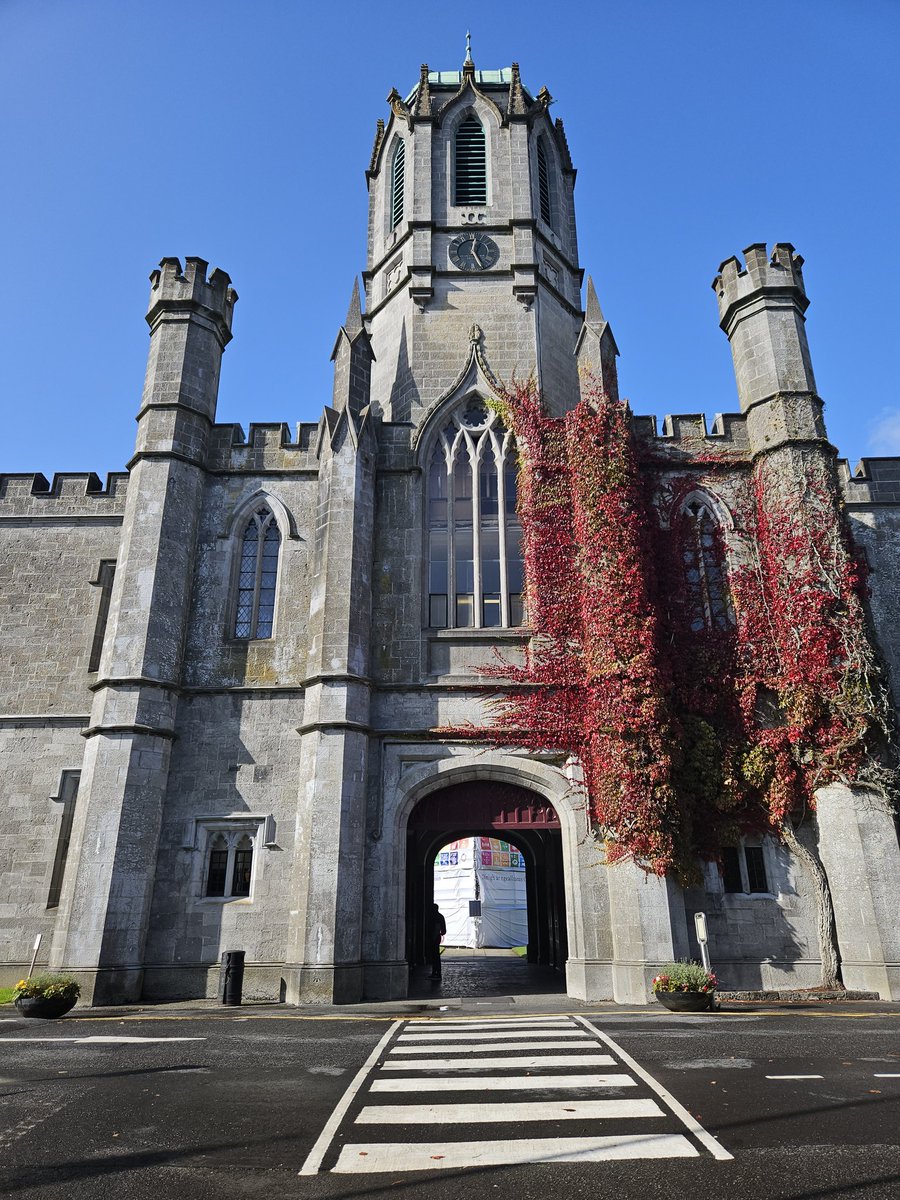 NUIG in the sunshine.... Good day on Friday discussing Motivational Interviewing with the MSc students, followed by a glorious stroll down the Corrib River.... No better way to avoid the evening traffic ☀️