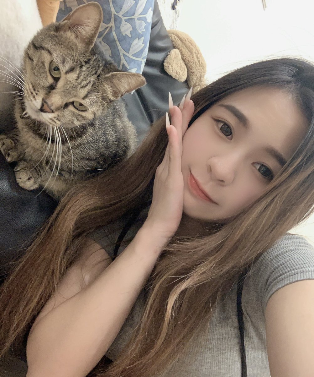 別的女孩都是:長相好,脾氣好,性格好
而我只是:胃口好