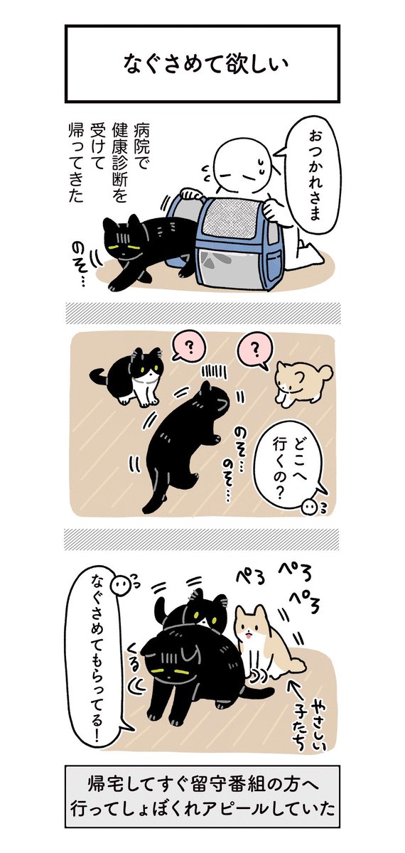 動物病院から帰ってきたらまっすぐ留守番組の2匹の方へショボショボしながら歩いていってなぐさめを要求しててかわいかった 2匹は律儀に差し出された背中をなめてなぐさめてあげててこっちもかわいかった