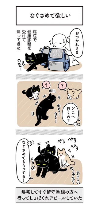 動物病院から帰ってきたらまっすぐ留守番組の2匹の方へショボショボしながら歩いていってなぐさめを要求しててかわいかった 2匹は律儀に差し出された背中をなめてなぐさめてあげててこっちもかわいかった