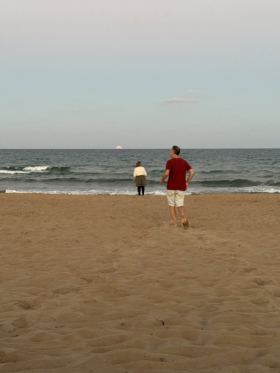 nico nasty tweet media