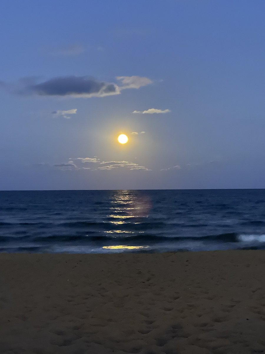 nico nasty tweet media