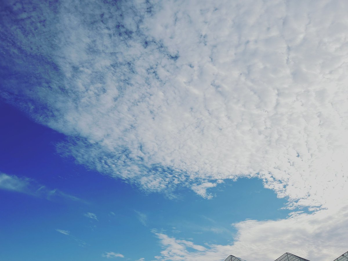 주님이 주시는 모든것은 유익입니다

“우리가 알거니와 하나님을 사랑하는 자 곧 그의 뜻대로 부르심을 입은 자들에게는 모든 것이 합력하여 선을 이루느니라”(롬 8:28)