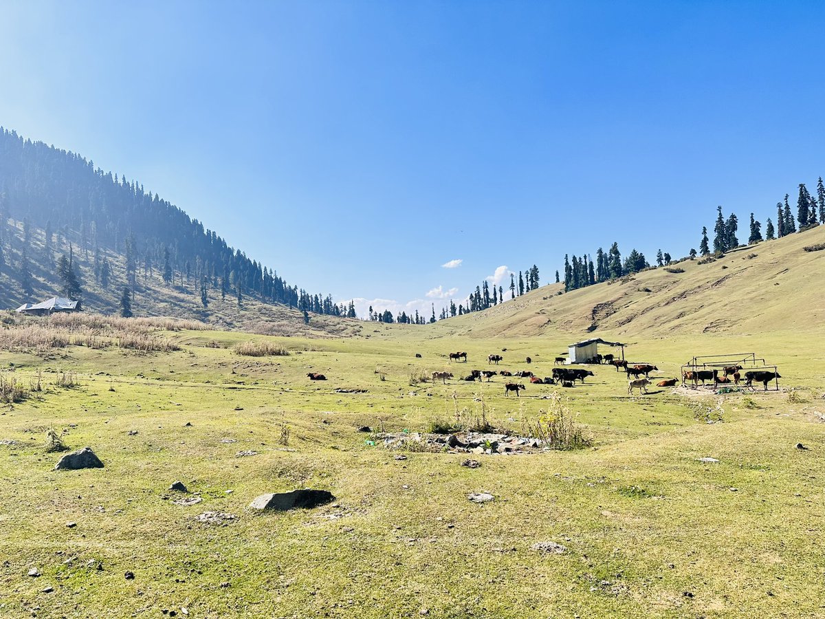 askiqbalnabi's tweet photo. Exploring the enchanting beauty of Panchanpathri DK Marg Kulgam #Panchanpathri #DKMarg #NatureBeauty https://t.co/rtGhssgNRU