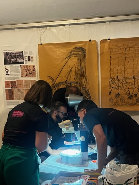 AMunozManchado's tweet image. 🔬 Had an incredible time at Researchers' Night yesterday! Exploring the world of Ramón y Cajal, the realm of microscopes, and so much more. 🌟 #ScienceIsAwesome #ResearchNights"