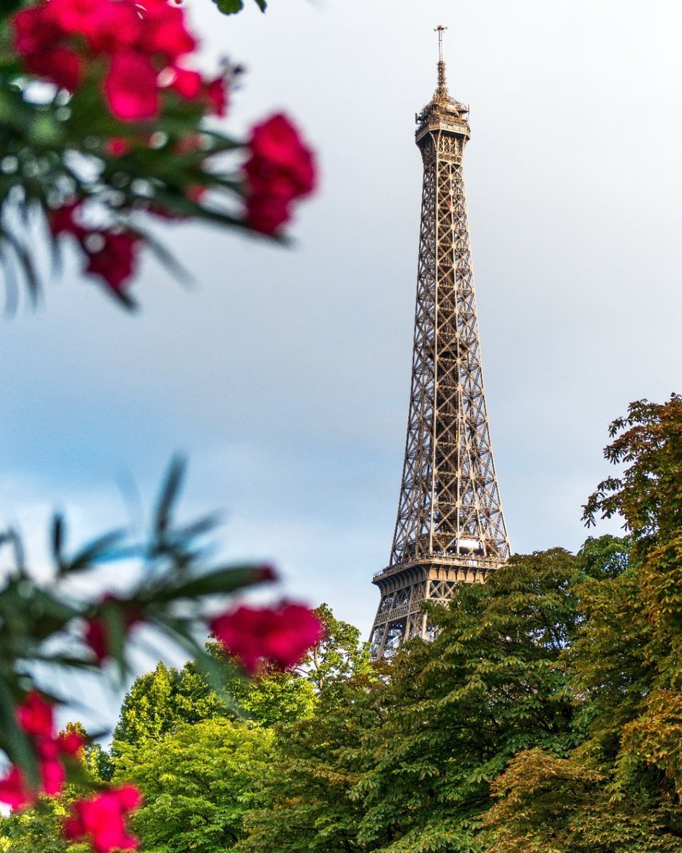 Una delle cose che amiamo di più di Parigi è il fatto che la Torre Eiffel può essere vista in luoghi inaspettati 💜.

Cosa amate di più della capitale della Francia? 👀

Avete ancora voglia di saperne di più? Date un'occhiata alla nostra guida scopriparigi.com🔝