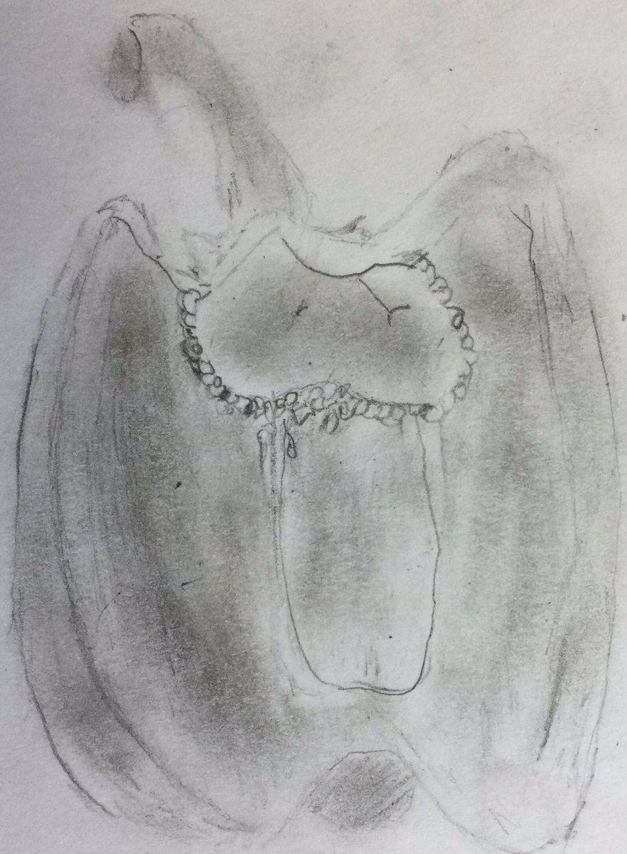 StColArt tweet picture