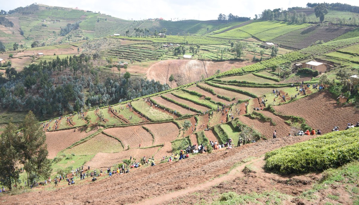 KarongiDistr's tweet photo. None, Minisitiri w’Ubutabera akaba n'Intumwa nkuru ya Leta Dr UGIRASHEBUJA Emmanuel, yifatanyije n’abatuye Akarere ka Karongi abereye imboni mu muganda rusange wabereye mu Mudugudu wa Karambo, Akagari ka Gisovu mu Murenge wa Twumba. Haciwe imirwanyasuri mu mirima y'abaturage. https://t.co/vAh5d0L8Kc