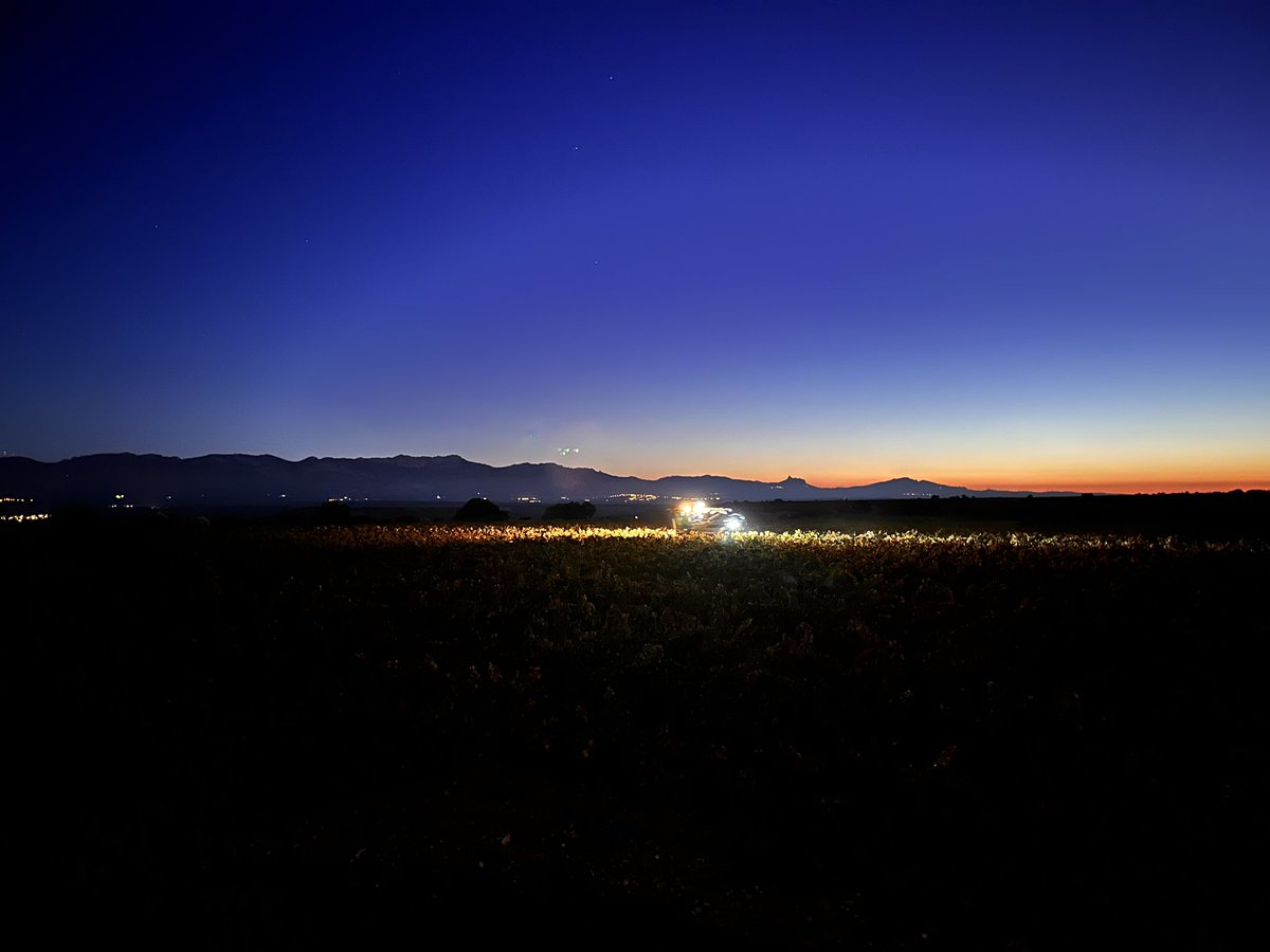 Vendimia al amanecer. 
Uruñuela.
🍇🍷