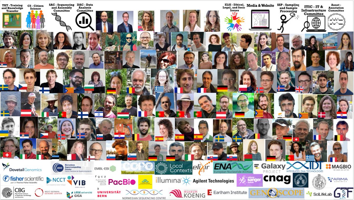 The ERGA Pilot Project of the #European Reference #Genome Atlas @erga_biodiv has brought together a truly amazing group of #biodiversity #genomics enthusiasts to build a distributed model of #genome generation for diverse species across #Europe biorxiv.org/content/10.110…