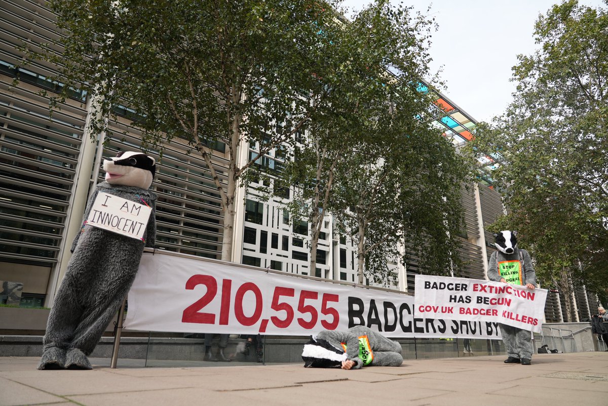 Stuart Spray tweet media