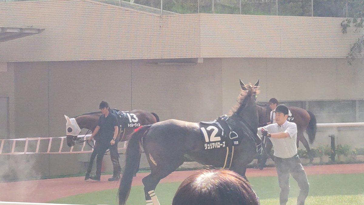 Sinfornia's tweet image. パドックのあちこちから「ジュリア・ロバーツ?」と空目報告が聞こえますw
#阪神10R
#ジュリアバローズ
