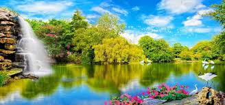 deffi8297's tweet photo. The beauty of a landscape is meaningless without the presence of life. https://t.co/KMMBg9rmjG