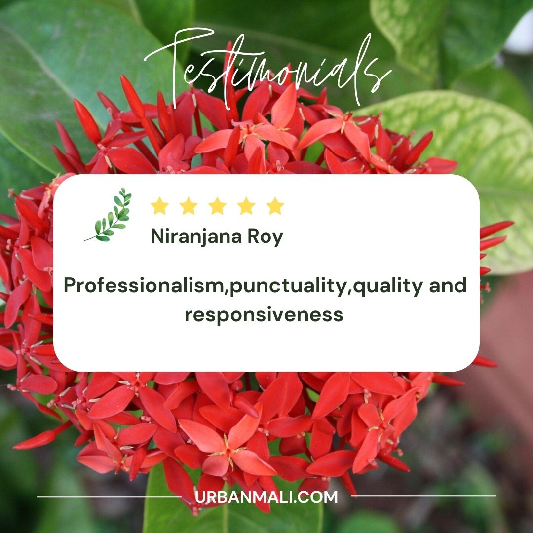 #customertestimonials #gardeningenterprise #gardener #gardening #urbangardener #gardenersofindia #bangaloregardeners #gardeninglove