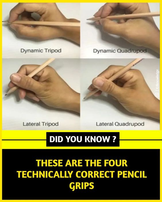 Learningzone360's tweet image. ✒️ Mastering Pen Grips: Unleash Your Writing Potential! 🖋️

Discover 4 common pen grips: 1️⃣ Dynamic Tripod: For precision. 2️⃣ Lateral Tripod: Comfortable for long writing. 

Find your style, enhance your creativity! 📝🎨 #PenGrips #WritingTips #ArtisticExpression