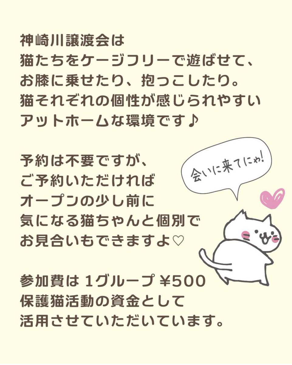 umi00928544's tweet photo. 北摂にゃんこのおうち探し
10月1日•10月8日譲渡会開催

生後3ヶ月〜5ヶ月の仔猫もいっぱい₍˄·͈༝·͈˄₎₍˄·͈༝·͈˄₎₍˄·͈༝·͈˄₎
人馴れ抜群の大人猫さんも₍ᐞ•༝•ᐞ₎◞♡

里親募集中の猫ちゃん情報は
コチラ☞ https://t.co/Jzoj9rF9Nt

#大阪イベント #神崎川駅 #譲渡会 
#拡散RT希望 https://t.co/XE9aRA6Bjq