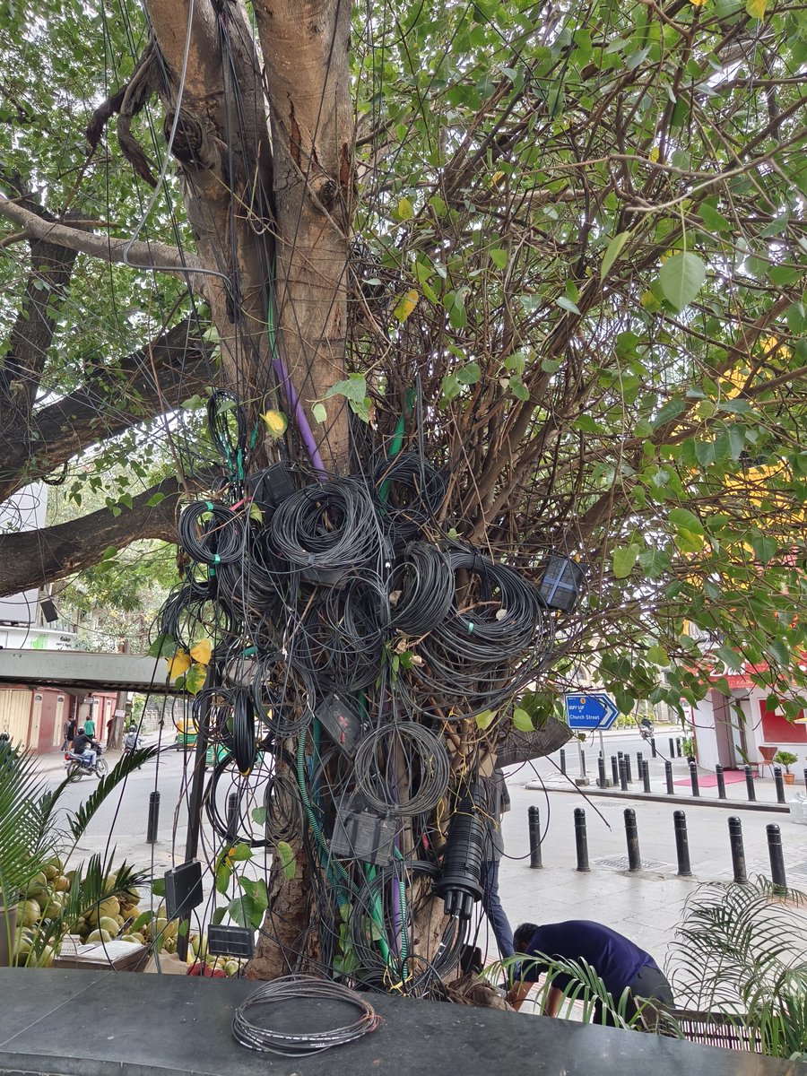 abyventura's tweet photo. When you have more cables than leaves on a tree, you are in Bangalore.

#BBMP #bangalore #churchstreet https://t.co/21neVAitMU