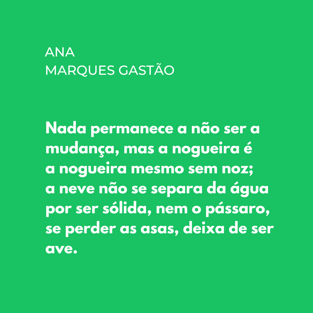 Poetria_cat's tweet photo. Un fragment del poema "Banho", d'Ana Marques Gastão. L'hem trobat al llibre Oníricas, editat el 2023 per Assírio & Alvim (Porto Editora).
#poesia #donespoetes #poesiaemportuguês #poesiaportuguesa #mulherespoetas #portoeditora #assirioealvim @portoeditora #AnaMarquesGastão https://t.co/xCjdEtDBKt