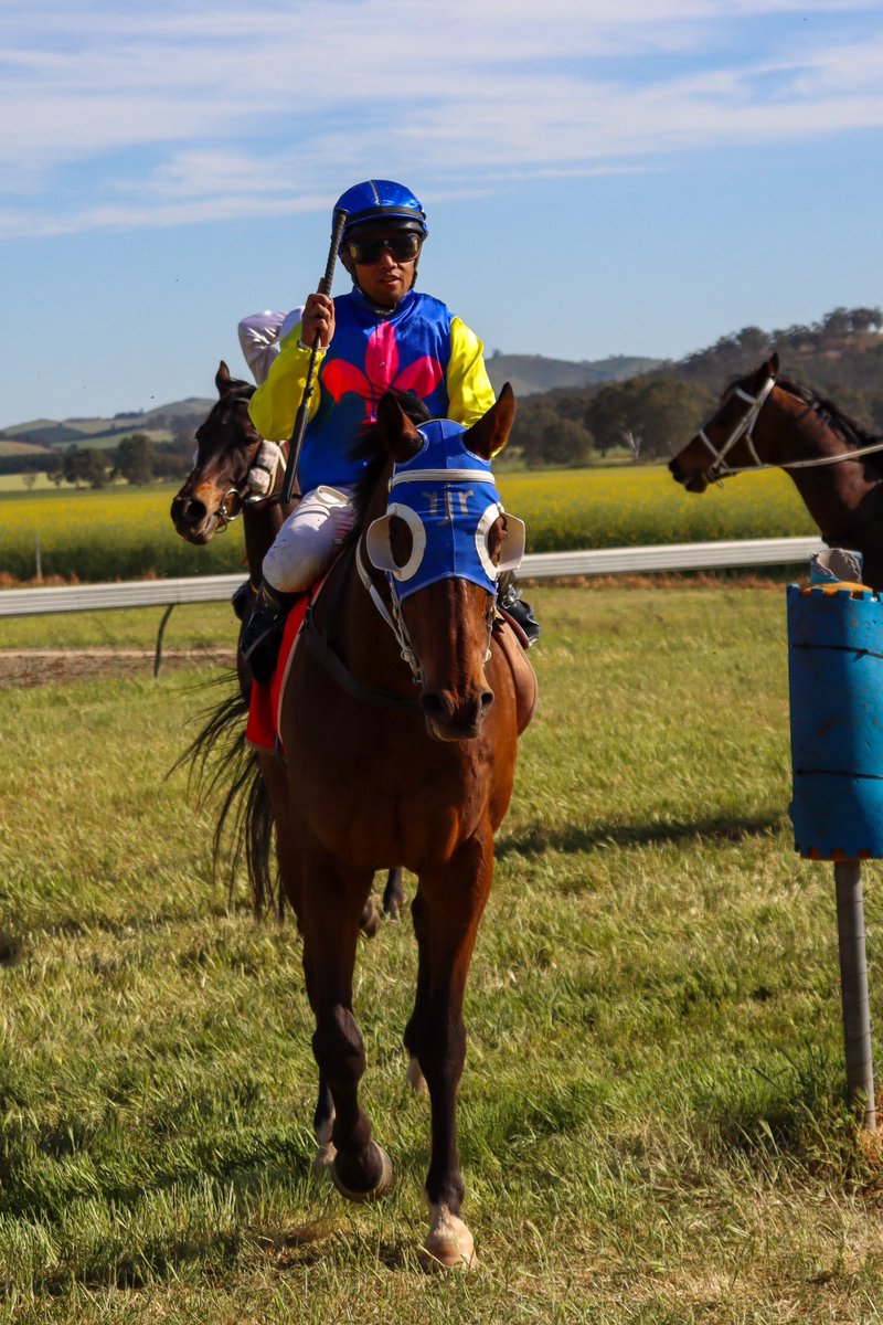CountryRacingSA's tweet photo. Kalamon goes back-to-back, winning the 2023 Jamestown Cup 🏇🏆

A fantastic ride by Sairyn Fawke and trained by @RJollyRacing 👏

#CountryRacingSA #Jamestown #Winning https://t.co/fGhGkqCjxS