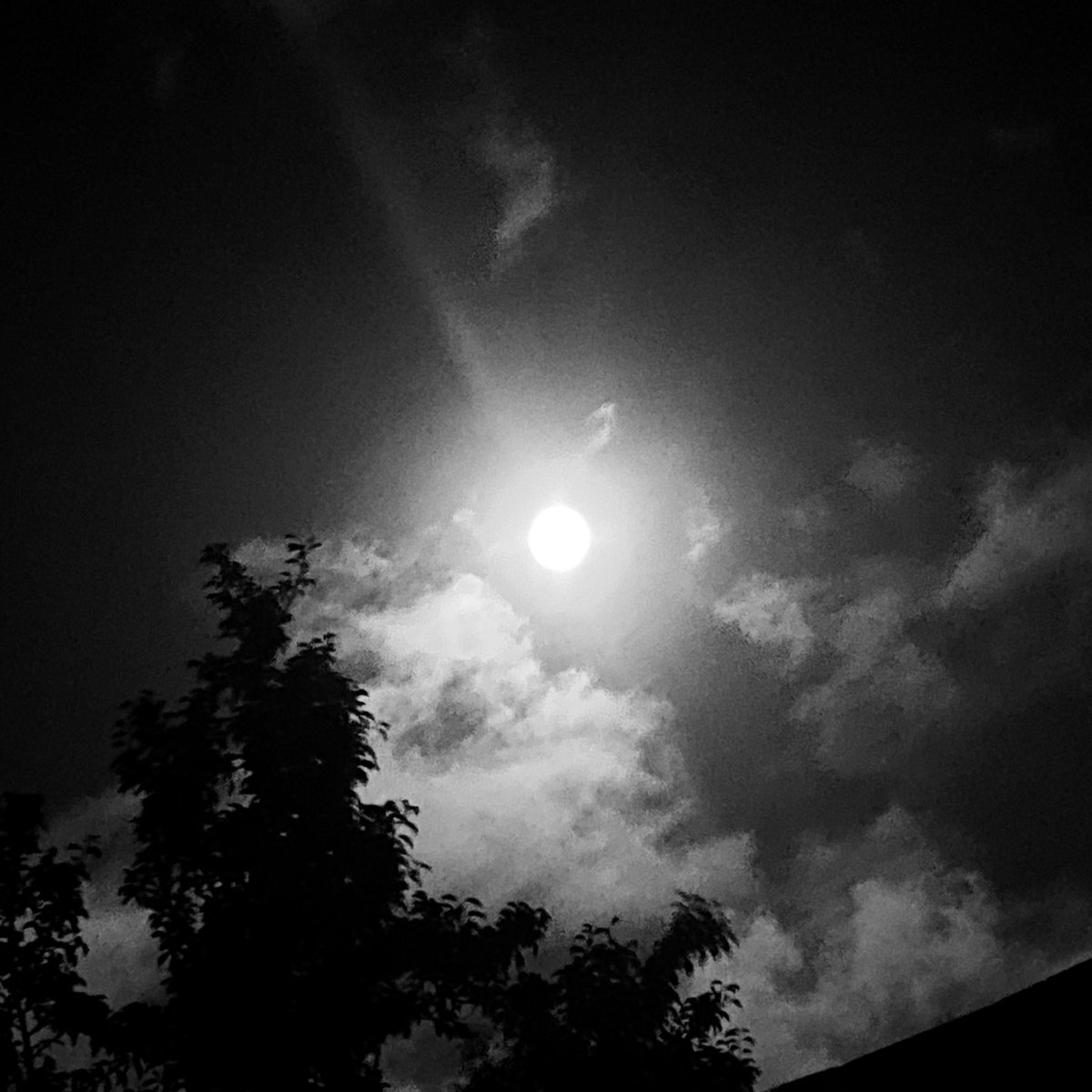 Harvest Moon tonight 🌕