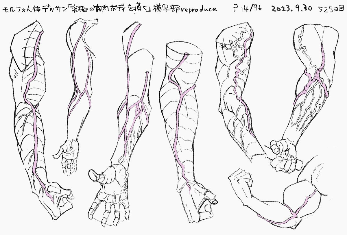 yokoshi57503128's tweet photo. 模写525日目 https://t.co/gC4HvtTXXe