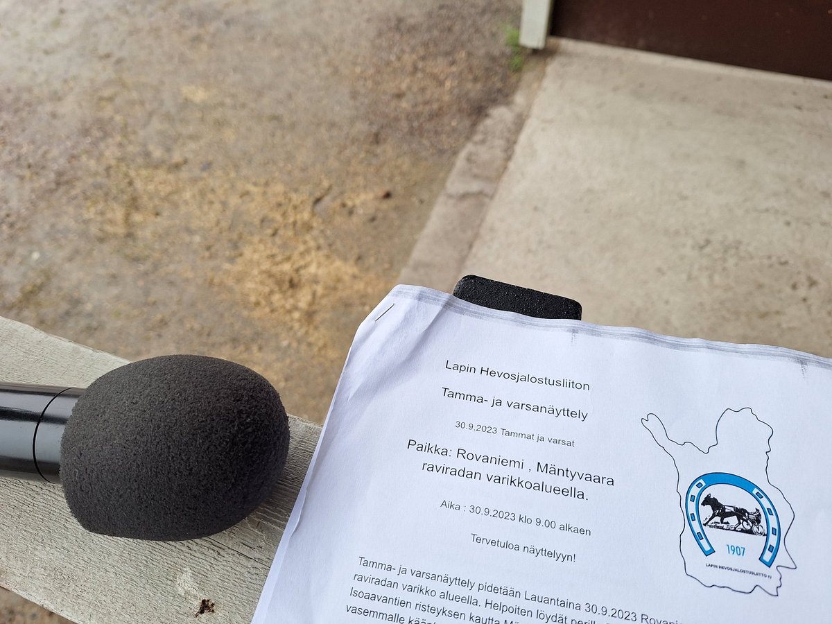 Vuosittaisen varsatarkkailun aika #ravit #näyttelyt #juontohommia