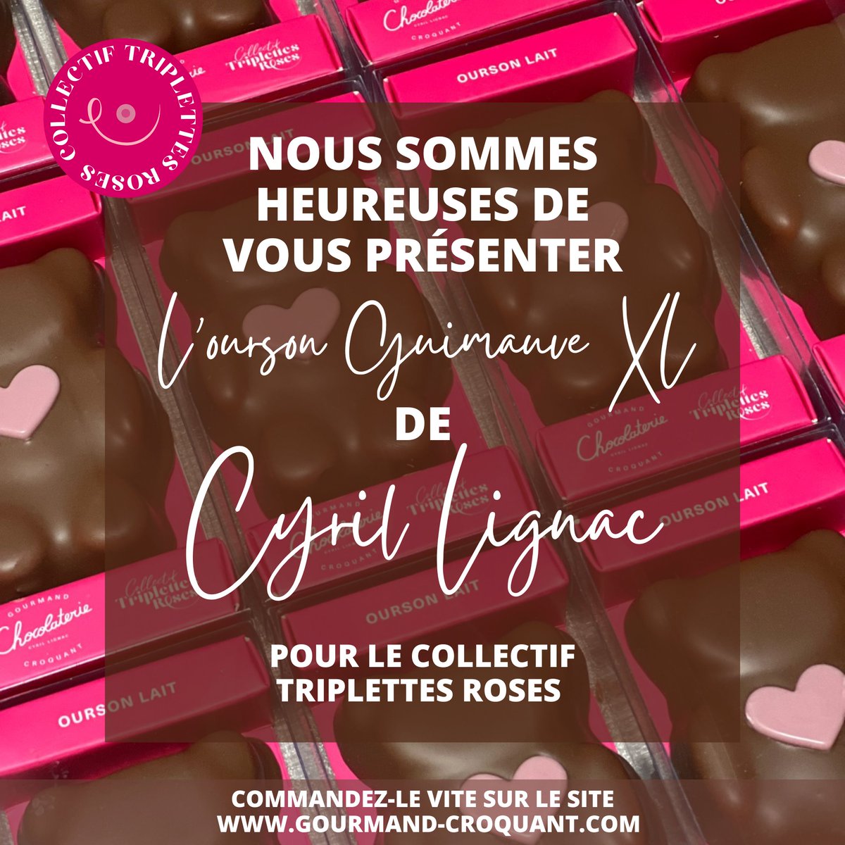Cette année Octobre sera Rose et Chocolaté !

💖 Un immense MERCI !

✅ Retrouvez l’ourson XL aux couleurs du Collectif Triplettes Roses en boutique et/ou sur le site gourmand-croquant.com