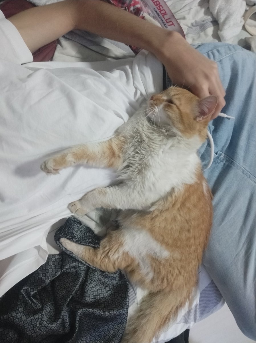 istfuu's tweet image. comprei minha blusa branca que vou pintar de "you belong with me" pra the eras 🤠 
mas acho w vou pintar no dia mesmo pq ai n da problema de manchar já q vou fazer de canetinha mesmo