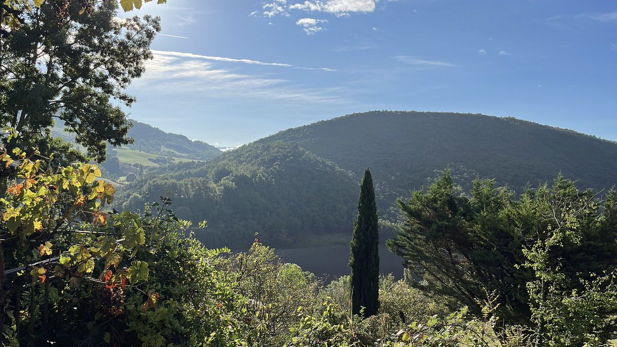 Morniiing Planetarians 🌳🌳

☀️ Do you prefer to live in a rural or urban environment?

©️ <a href="/daangiegang/">Anj 🌏 Medusa World DAO | MINT: LIVE</a> for MW