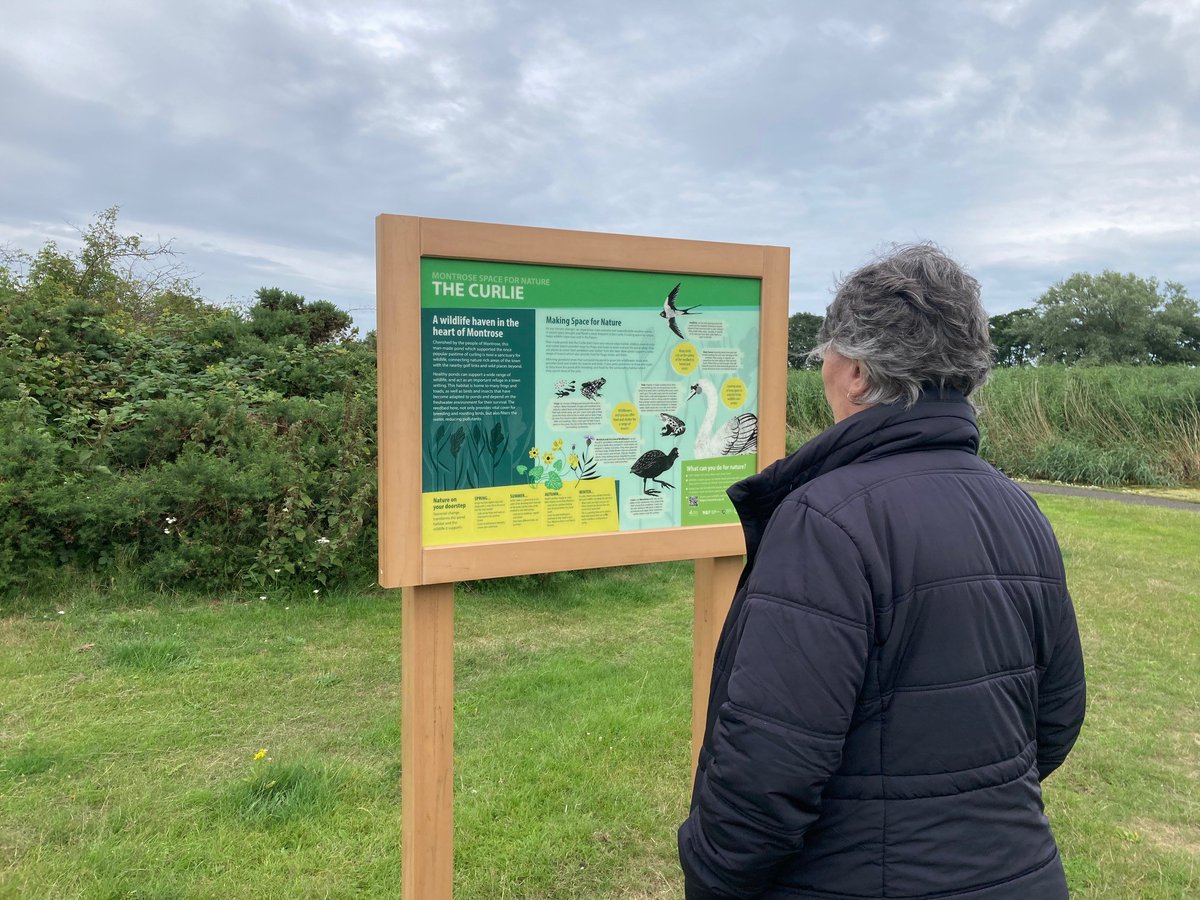 AngusCouncil's tweet photo. In the quest to improve biodiversity in Angus and help rebuild populations of bees, butterflies and other insects, the Space for Nature programme sees reduced grass cutting and a continued reduction in chemical use on Angus parks across 12 Angus towns.
#AngusClimateWeek https://t.co/L8oQEhUQiM