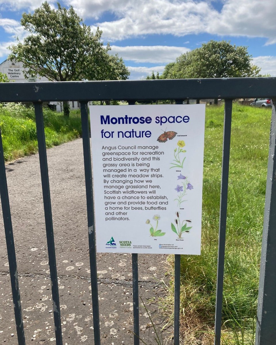 AngusCouncil's tweet photo. In the quest to improve biodiversity in Angus and help rebuild populations of bees, butterflies and other insects, the Space for Nature programme sees reduced grass cutting and a continued reduction in chemical use on Angus parks across 12 Angus towns.
#AngusClimateWeek https://t.co/L8oQEhUQiM