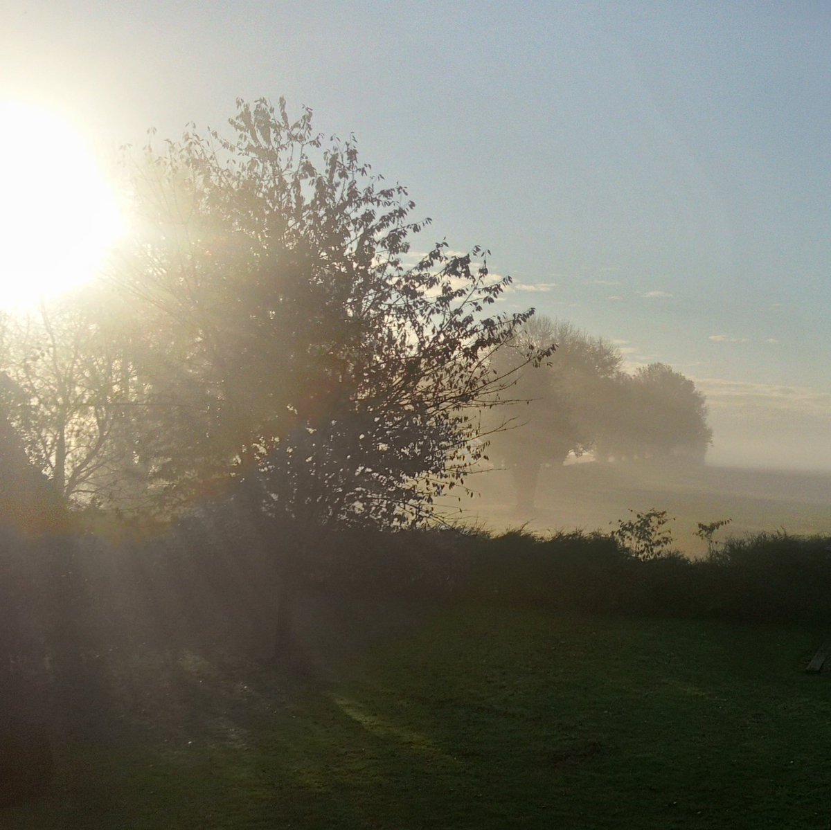 Twinnette75's tweet photo. #NouvellePhotoDeProfil
#PPGame du week-end sur le thème de l'automne.
Alors j'ai choisi un matin ensoleillé d'automne sur la campagne Picarde.
Bon week-end, twitwi. https://t.co/m2dudvvI5g
