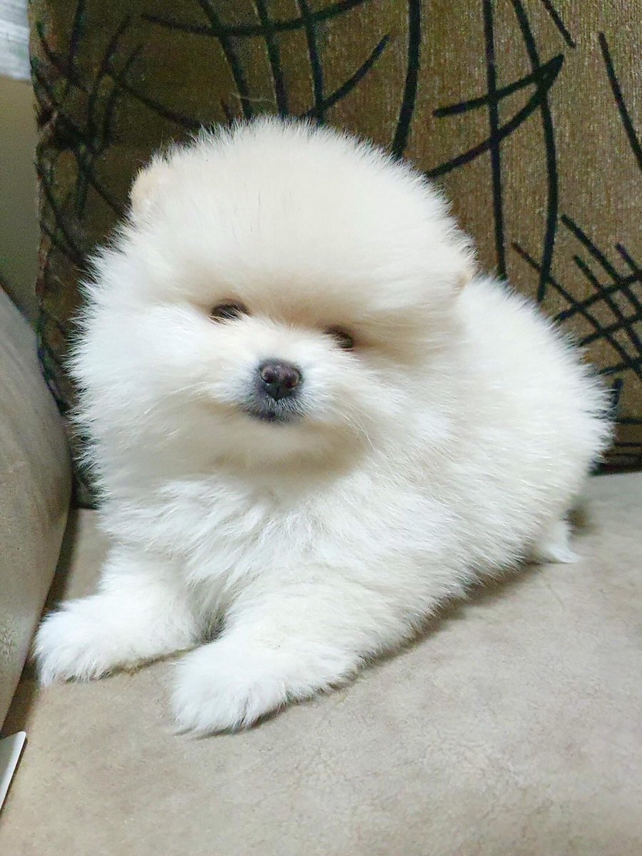 มีเด็กมาหามะม๊า🤗🤗🤗