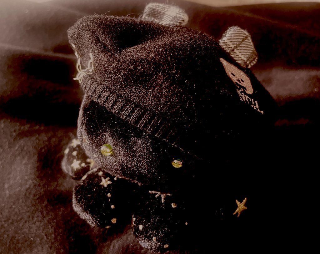 howdooUdoo's tweet image. 어제 올렸다가 지웠는데 다시 봐도 잘나온거 같아서 기록용으로 올리기.., 별밤문어는 10cm 인형용 모자를 씌워주면 아주 귀엽다