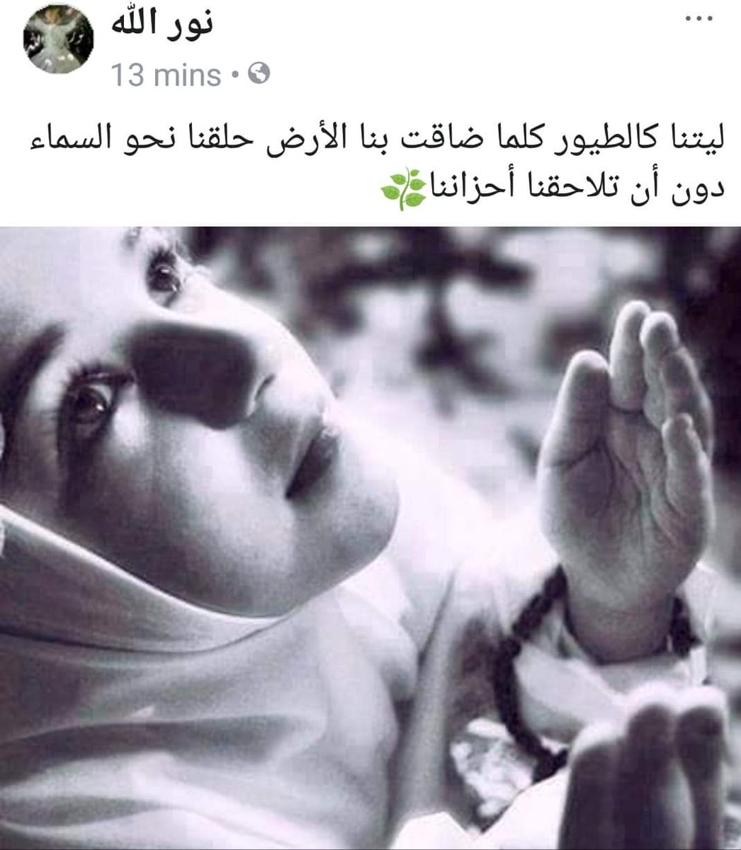aida_ebrahim's tweet photo. https://t.co/6aMH8PPGVt
