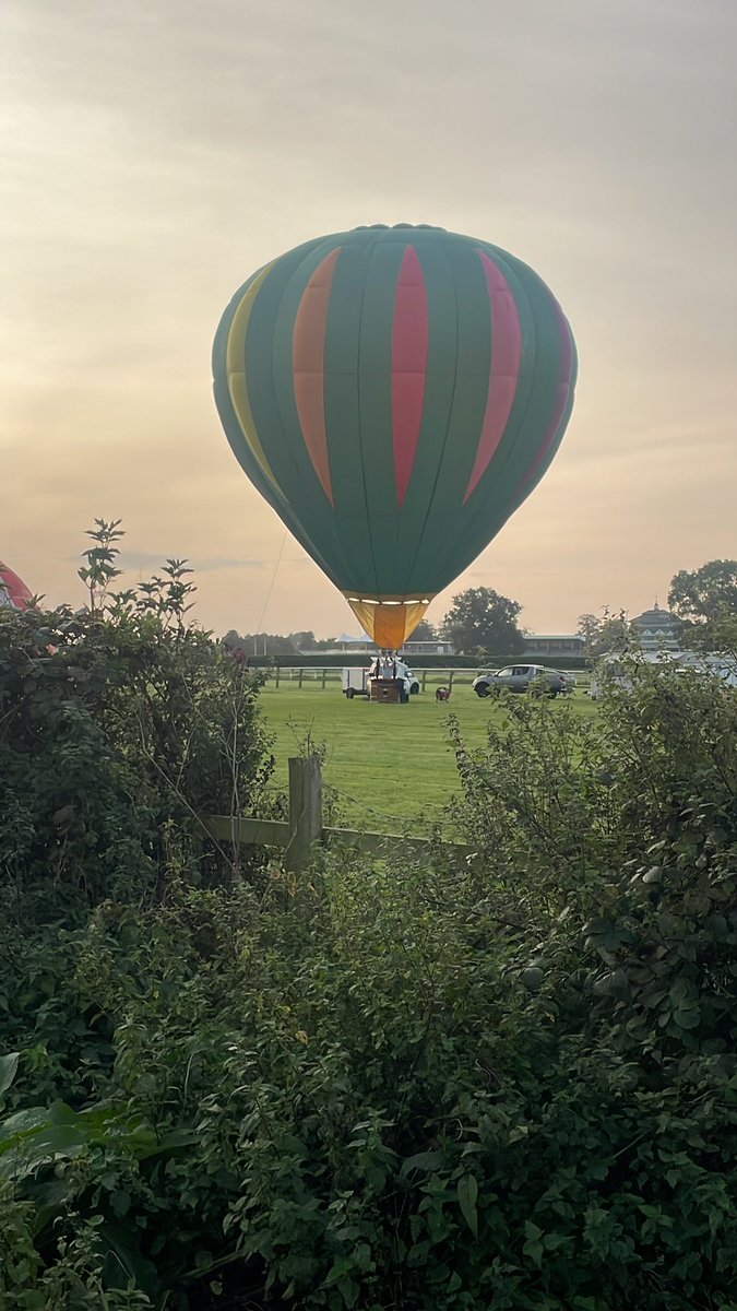 Neil Collinson tweet media