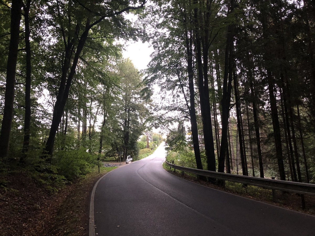 "Sources close to" Bob Borsley tweet media