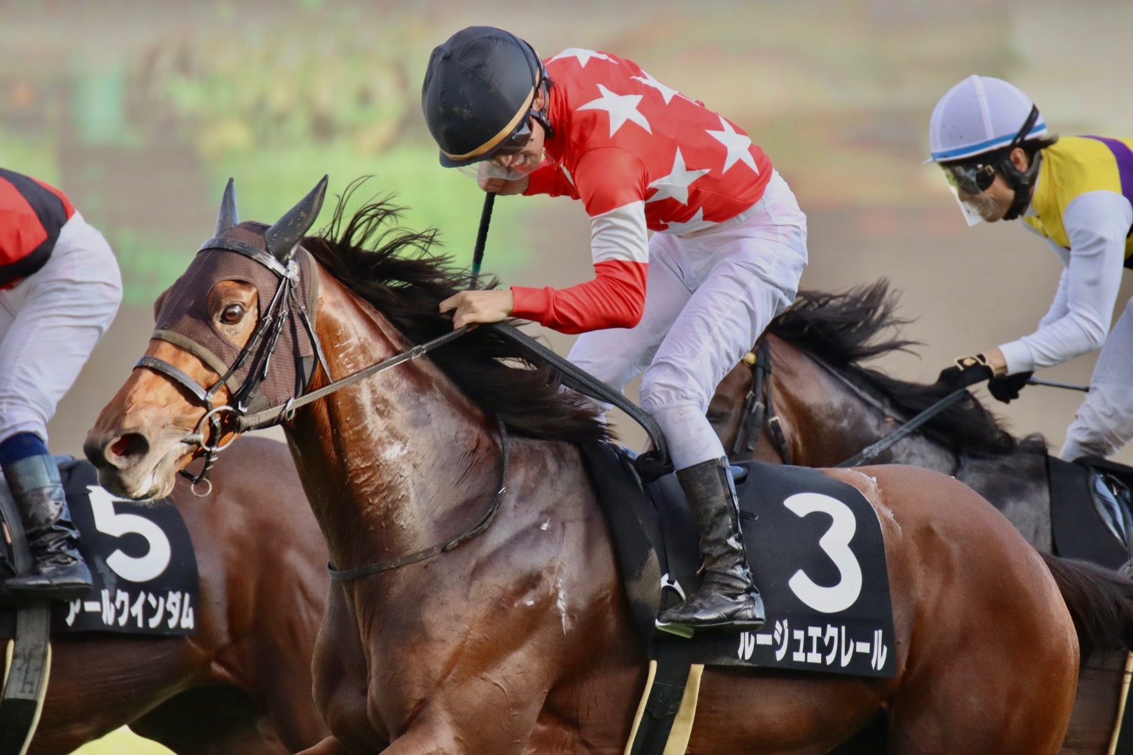 ラッキーライラッ子 on X: 