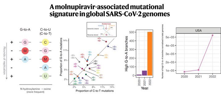 Gorka Orive tweet media