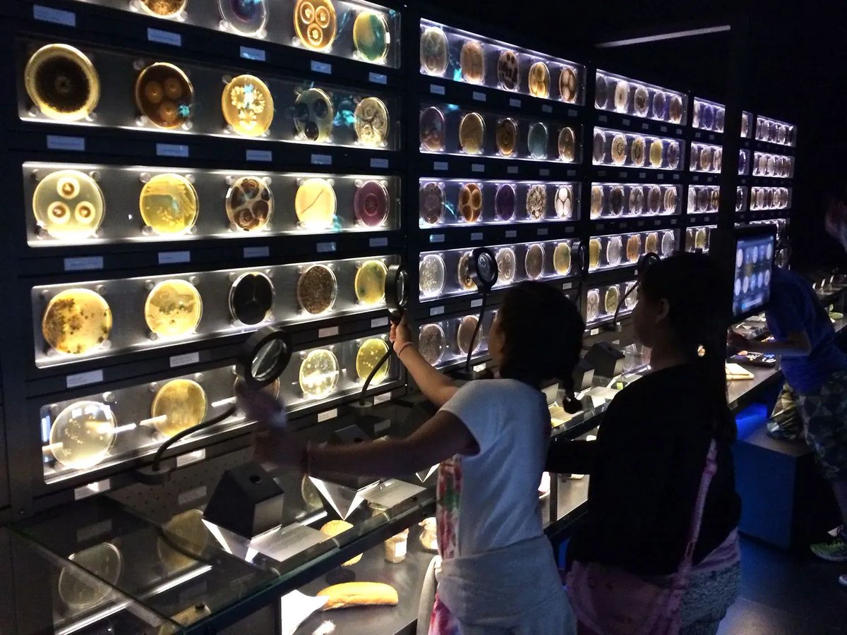 The museum <a href="/ARTIS/">artis</a> <a href="/Micropia/">micro</a> opened its doors in Amsterdam #OnThisDay in 2014 with a focus solely on microorganisms 🦠🔬 🧫 In fact Micropia is the world's first museum of microbes! Check their anniversary event happening later today micropia.nl/en/visit/activ…