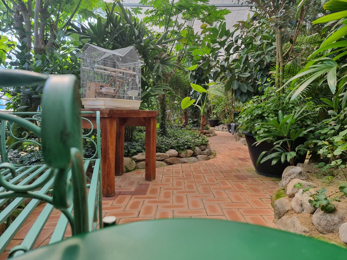 Факат кофе ичадиган "кафе" экан